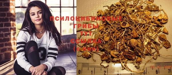 хмурый Богданович