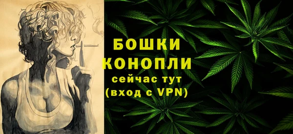 PSILOCYBIN Семёнов