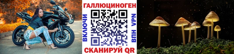 блэк спрут зеркало  сколько стоит  Костомукша  Галлюциногенные грибы GOLDEN TEACHER 